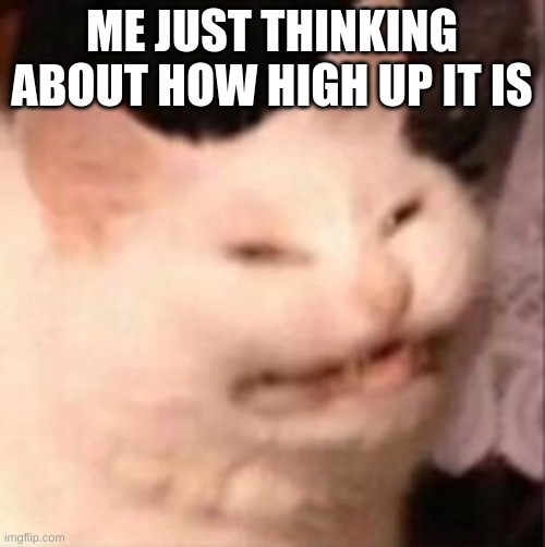 No Like | ME JUST THINKING ABOUT HOW HIGH UP IT IS | image tagged in no like | made w/ Imgflip meme maker