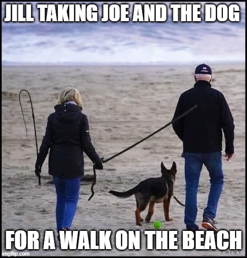 Biden | JILL TAKING JOE AND THE DOG; FOR A WALK ON THE BEACH | image tagged in biden | made w/ Imgflip meme maker