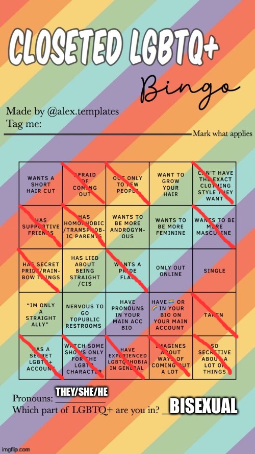 ahaha | THEY/SHE/HE; BISEXUAL | image tagged in closeted lgbtq bingo | made w/ Imgflip meme maker