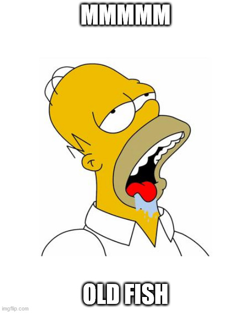Homer Simpson Drooling |  MMMMM; OLD FISH | image tagged in homer simpson drooling | made w/ Imgflip meme maker