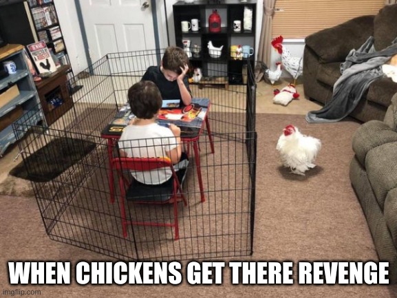 WHEN CHICKENS GET THERE REVENGE | image tagged in chicken | made w/ Imgflip meme maker