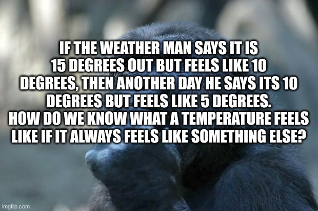Deep Thoughts |  IF THE WEATHER MAN SAYS IT IS 15 DEGREES OUT BUT FEELS LIKE 10 DEGREES, THEN ANOTHER DAY HE SAYS ITS 10 DEGREES BUT FEELS LIKE 5 DEGREES. HOW DO WE KNOW WHAT A TEMPERATURE FEELS LIKE IF IT ALWAYS FEELS LIKE SOMETHING ELSE? | image tagged in deep thoughts | made w/ Imgflip meme maker