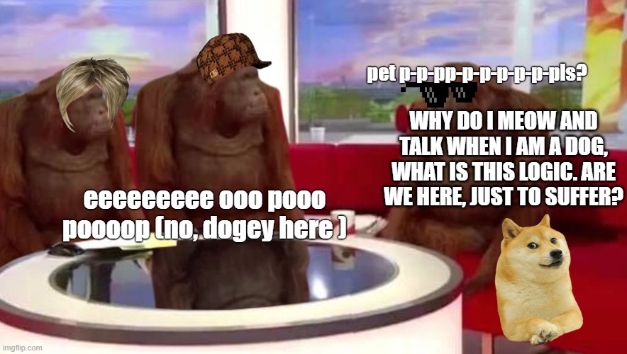dogey is suffering, +1 view = +1 life for dogey, +1upvote = +1 strength for dogey. sorry for making this title so long lol | pet p-p-pp-p-p-p-p-p-pls? WHY DO I MEOW AND TALK WHEN I AM A DOG, WHAT IS THIS LOGIC. ARE WE HERE, JUST TO SUFFER? eeeeeeeee ooo pooo poooop (no, dogey here ) | image tagged in where monkey | made w/ Imgflip meme maker