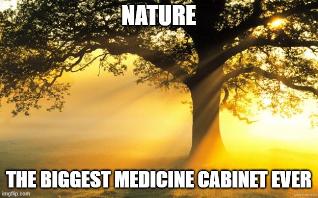 nature | NATURE; THE BIGGEST MEDICINE CABINET EVER | image tagged in nature | made w/ Imgflip meme maker