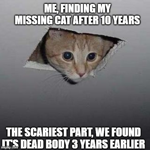 Freaky Cat | ME, FINDING MY MISSING CAT AFTER 10 YEARS; THE SCARIEST PART, WE FOUND IT'S DEAD BODY 3 YEARS EARLIER | image tagged in memes,ceiling cat | made w/ Imgflip meme maker