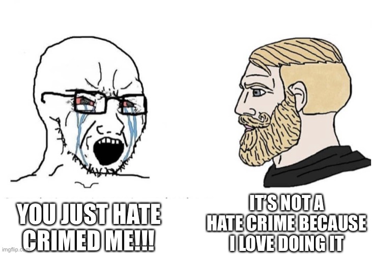Soyboy Vs Yes Chad | IT’S NOT A HATE CRIME BECAUSE I LOVE DOING IT; YOU JUST HATE CRIMED ME!!! | image tagged in soyboy vs yes chad | made w/ Imgflip meme maker