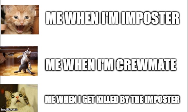 Me in Among Us | ME WHEN I'M IMPOSTER; ME WHEN I'M CREWMATE; ME WHEN I GET KILLED BY THE IMPOSTER | image tagged in white background,gaming,among us,cats | made w/ Imgflip meme maker