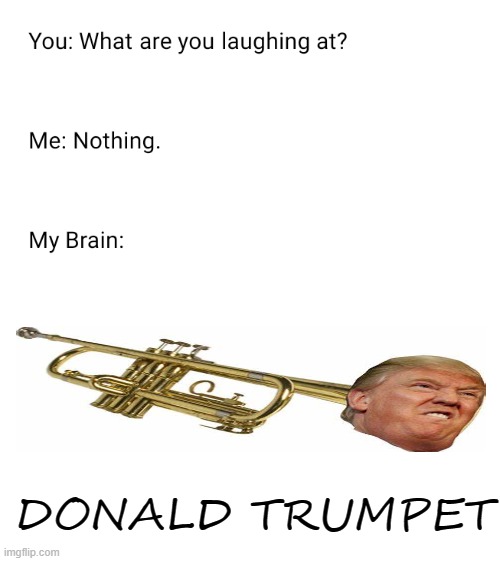 donald trumpet | DONALD TRUMPET | image tagged in what are you laughing at,donald trumpet | made w/ Imgflip meme maker