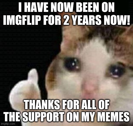yes 2 years now |  I HAVE NOW BEEN ON IMGFLIP FOR 2 YEARS NOW! THANKS FOR ALL OF THE SUPPORT ON MY MEMES | image tagged in sad thumbs up cat | made w/ Imgflip meme maker