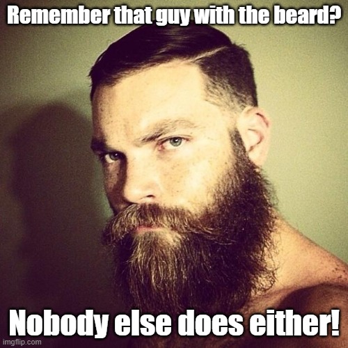 Remember that guy with the beard? | Remember that guy with the beard? Nobody else does either! | image tagged in beard | made w/ Imgflip meme maker