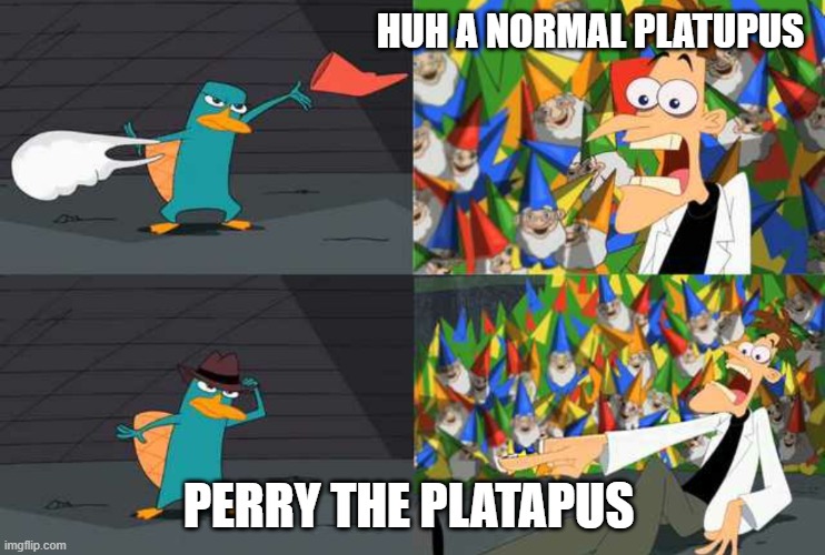 perry b like | HUH A NORMAL PLATUPUS; PERRY THE PLATAPUS | image tagged in an ordinary platypus | made w/ Imgflip meme maker