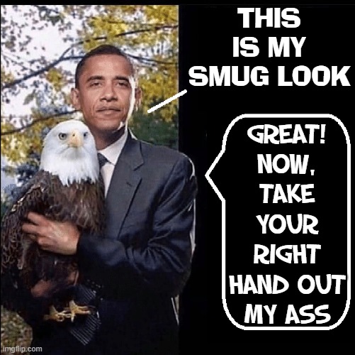 America resists the 21st Century push towards socialism | THIS
IS MY
SMUG LOOK; GREAT!
NOW,
TAKE
YOUR
RIGHT
HAND OUT
MY ASS | image tagged in vince vance,anti american,barack obama,american eagle,democratic socialism,memes | made w/ Imgflip meme maker
