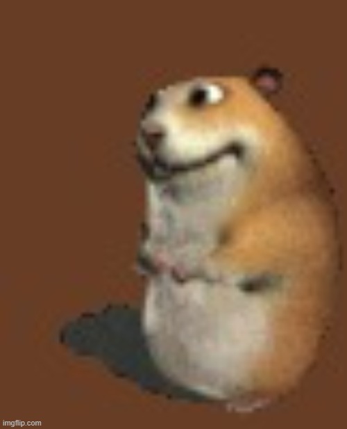 Hamster | image tagged in hamster | made w/ Imgflip meme maker