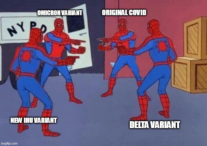 4 Spiderman pointing at each other | OMICRON VARIANT; ORIGINAL COVID; NEW IHU VARIANT; DELTA VARIANT | image tagged in 4 spiderman pointing at each other | made w/ Imgflip meme maker