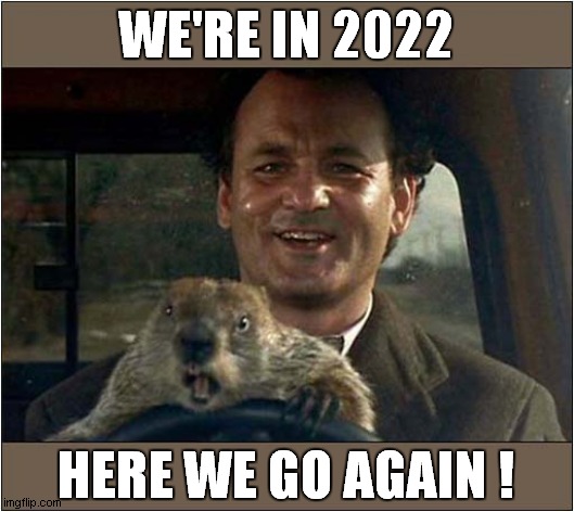Groundhog Day ! |  WE'RE IN 2022; HERE WE GO AGAIN ! | image tagged in fun,groundhog day,2022,here we go again | made w/ Imgflip meme maker
