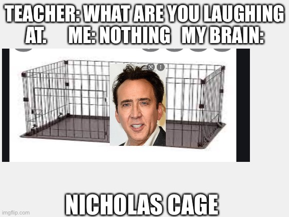 NICHOLAS  CAGE | TEACHER: WHAT ARE YOU LAUGHING AT.      ME: NOTHING   MY BRAIN:; NICHOLAS CAGE | image tagged in funny | made w/ Imgflip meme maker