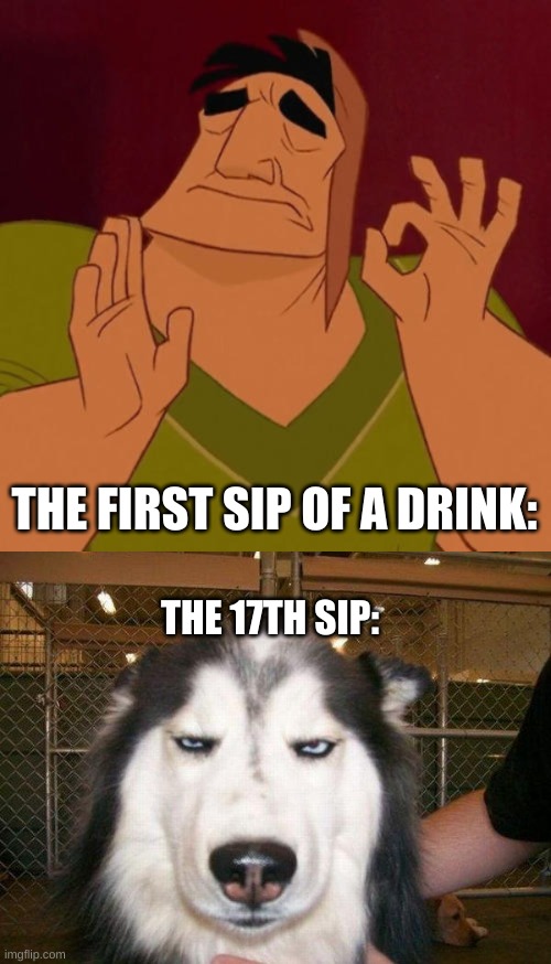 Why doesn't that juice taste good anymore? | THE FIRST SIP OF A DRINK:; THE 17TH SIP: | image tagged in when x just right,seriously_husky,memes,lol | made w/ Imgflip meme maker