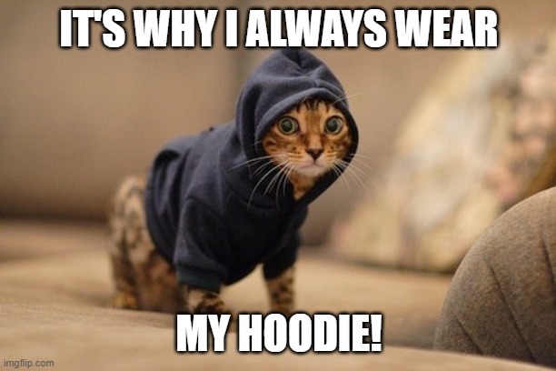 Hoody Cat Meme | IT'S WHY I ALWAYS WEAR MY HOODIE! | image tagged in memes,hoody cat | made w/ Imgflip meme maker
