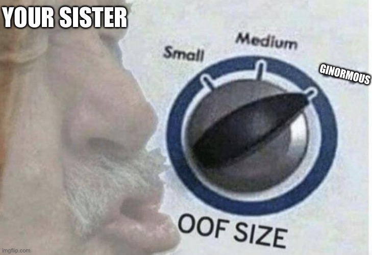 Oof size large | GINORMOUS YOUR SISTER | image tagged in oof size large | made w/ Imgflip meme maker
