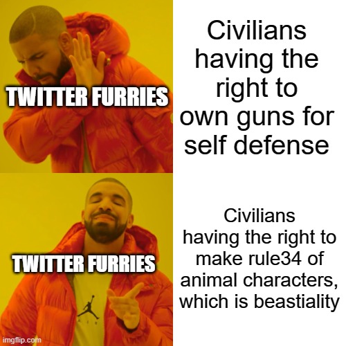 Twitter furries be like: | Civilians having the right to own guns for self defense; TWITTER FURRIES; Civilians having the right to make rule34 of animal characters, which is beastiality; TWITTER FURRIES | image tagged in memes,drake hotline bling | made w/ Imgflip meme maker