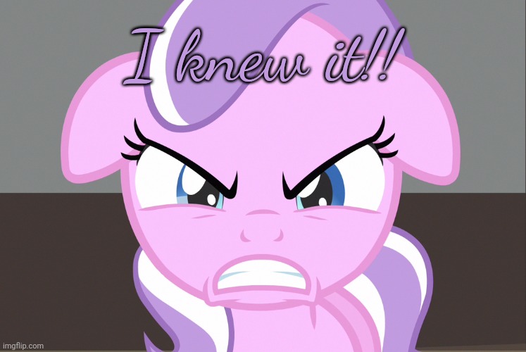 Diamond Tiara Growled (MLP) | I knew it!! | image tagged in diamond tiara growled mlp | made w/ Imgflip meme maker