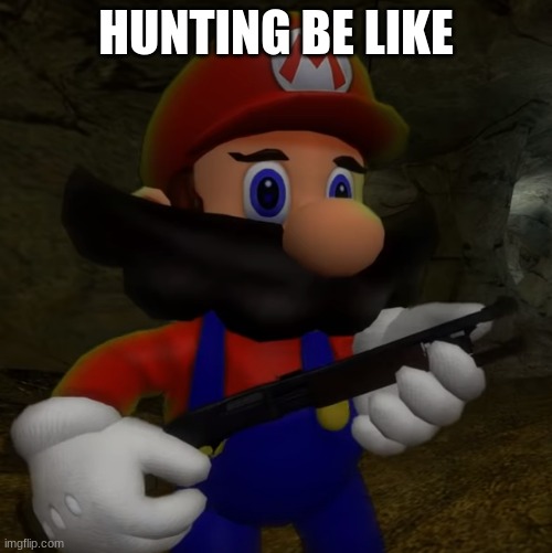 ok | HUNTING BE LIKE | image tagged in mario with shotgun | made w/ Imgflip meme maker