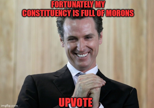 FORTUNATELY MY CONSTITUENCY IS FULL OF MORONS UPVOTE | made w/ Imgflip meme maker