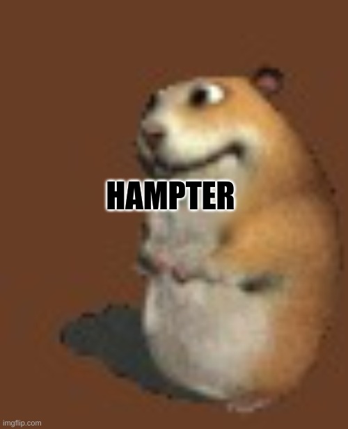 Hamster | HAMPTER | image tagged in hamster | made w/ Imgflip meme maker