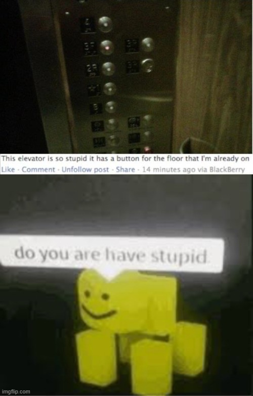 dO yoU ArE hAVe StuPiD?! | image tagged in do you are have stupid | made w/ Imgflip meme maker