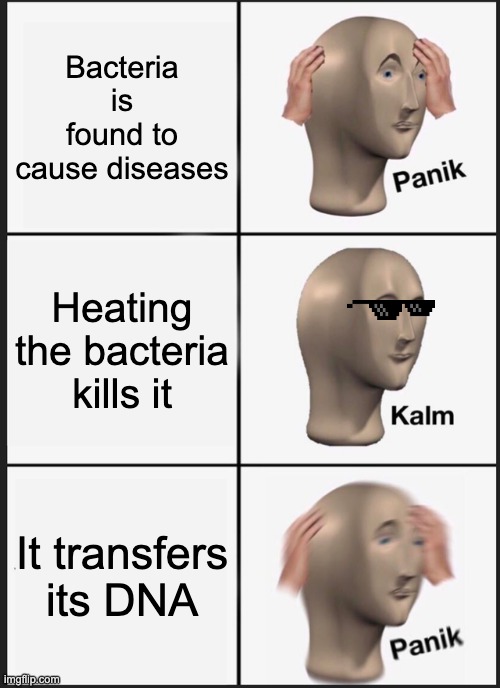 Biolomeme | Bacteria is found to cause diseases; Heating the bacteria kills it; It transfers its DNA | image tagged in memes,panik kalm panik | made w/ Imgflip meme maker