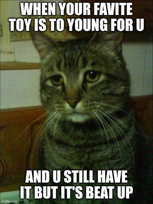 Depressed Cat | WHEN YOUR FAVITE TOY IS TO YOUNG FOR U; AND U STILL HAVE IT BUT IT'S BEAT UP | image tagged in memes,depressed cat | made w/ Imgflip meme maker