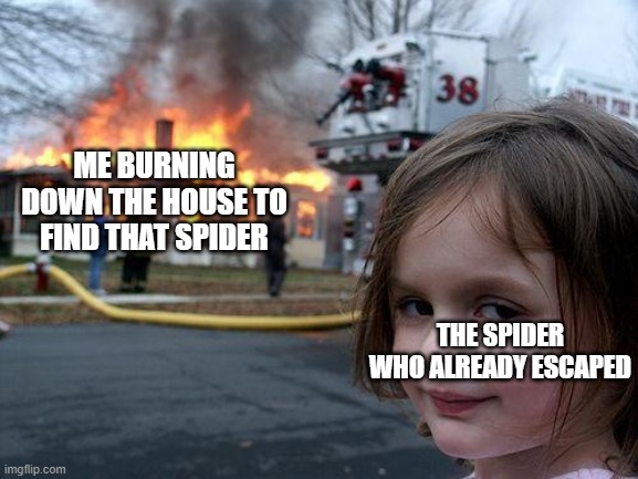 spider | ME BURNING DOWN THE HOUSE TO FIND THAT SPIDER; THE SPIDER WHO ALREADY ESCAPED | image tagged in memes,disaster girl | made w/ Imgflip meme maker