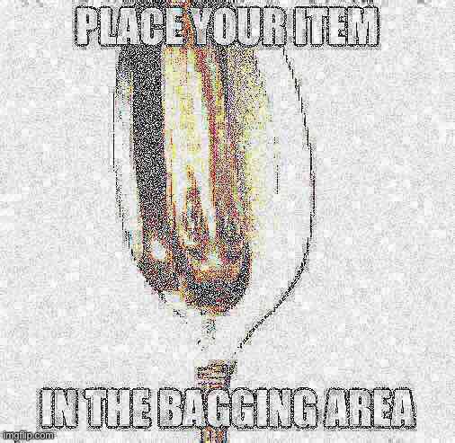 PLEASE SCAN YOUR ITEM | image tagged in ironic | made w/ Imgflip meme maker