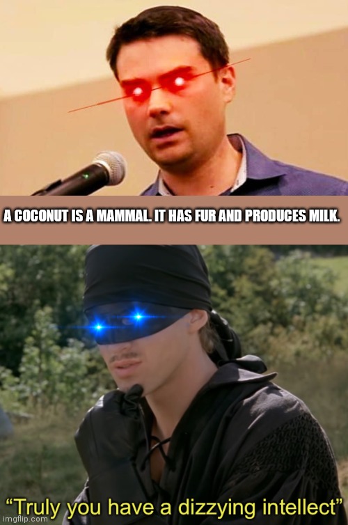 If you pay attention to his statements, they're weak and also not debates; they're Q&A | A COCONUT IS A MAMMAL. IT HAS FUR AND PRODUCES MILK. | image tagged in ben shapiro destroys liberals,truly you have a dizzying intellect,owned,maga,rip,lol | made w/ Imgflip meme maker