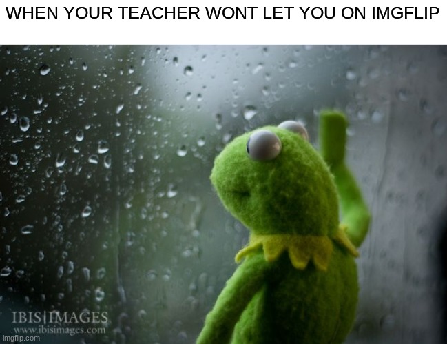 :( | WHEN YOUR TEACHER WONT LET YOU ON IMGFLIP | image tagged in kermit window,sad,in skool,skool is for l00sers | made w/ Imgflip meme maker