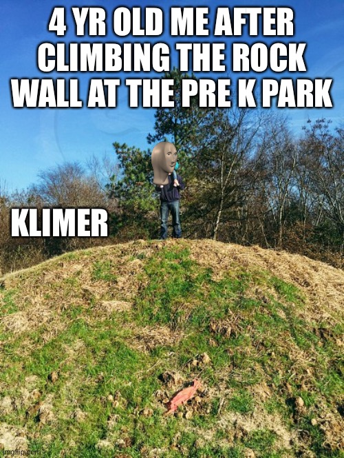 I would jump off it and get wood chips in my hand, now I’m taller and can almost jump those | 4 YR OLD ME AFTER CLIMBING THE ROCK WALL AT THE PRE K PARK; KLIMER | image tagged in funny memes | made w/ Imgflip meme maker