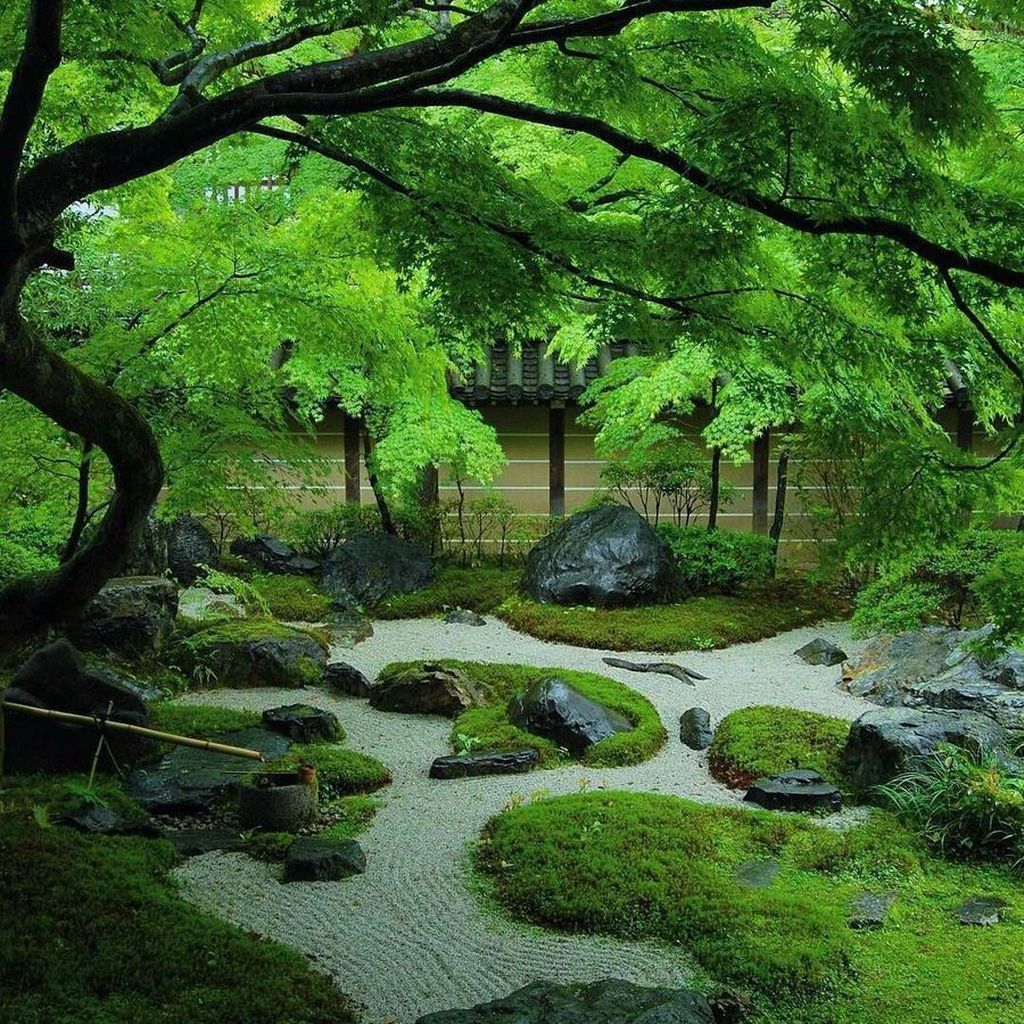 High Quality Zen garden Blank Meme Template
