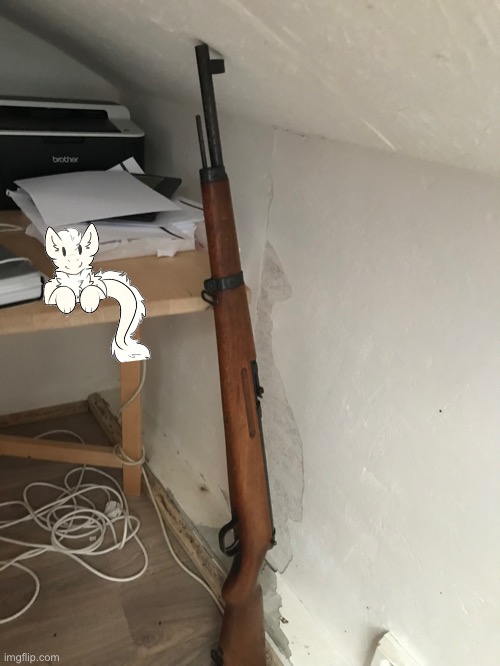 It’s beside my rifle now! | image tagged in fluffy dragon | made w/ Imgflip meme maker