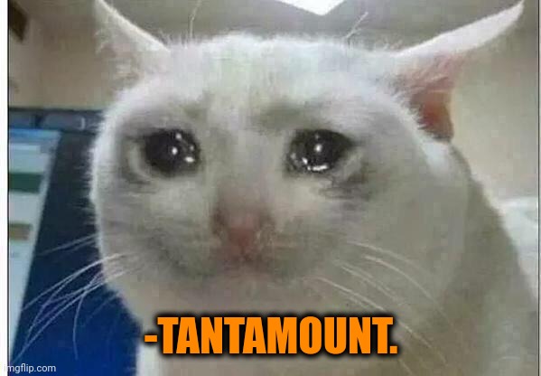crying cat | -TANTAMOUNT. | image tagged in crying cat | made w/ Imgflip meme maker