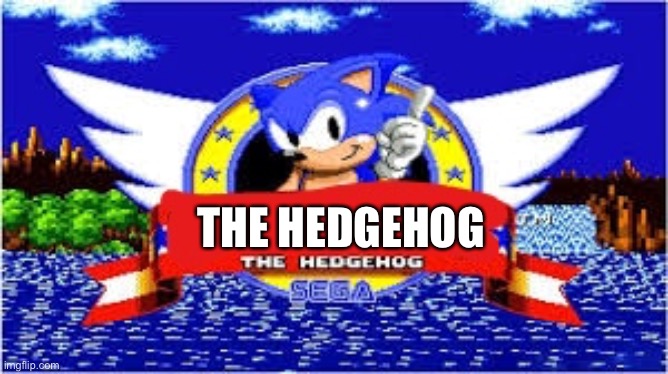 My Oc NoT yOrS | THE HEDGEHOG | image tagged in blank the hedgehog | made w/ Imgflip meme maker