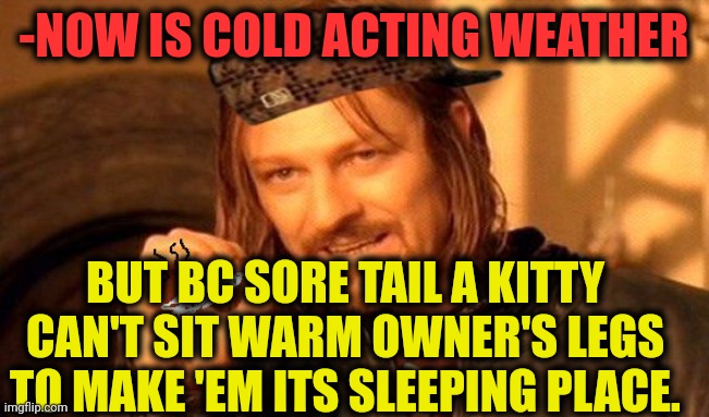 One Does Not Simply 420 Blaze It | -NOW IS COLD ACTING WEATHER BUT BC SORE TAIL A KITTY CAN'T SIT WARM OWNER'S LEGS TO MAKE 'EM ITS SLEEPING PLACE. | image tagged in one does not simply 420 blaze it | made w/ Imgflip meme maker