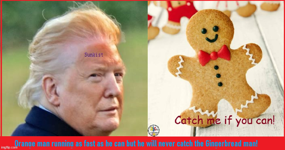 Orange Man VS Gingerbread Man | image tagged in gingerbread man,criminal,donald trump | made w/ Imgflip meme maker