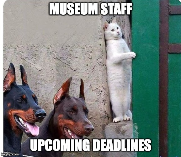 Museum Staff & Deadlines | MUSEUM STAFF; UPCOMING DEADLINES | image tagged in hidden cat | made w/ Imgflip meme maker