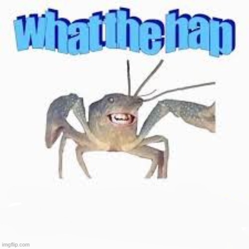 What the hap | image tagged in what the hap | made w/ Imgflip meme maker