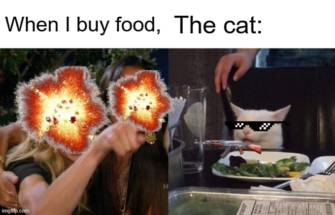 Woman Yelling At Cat Meme | When I buy food, The cat: | image tagged in memes,woman yelling at cat | made w/ Imgflip meme maker