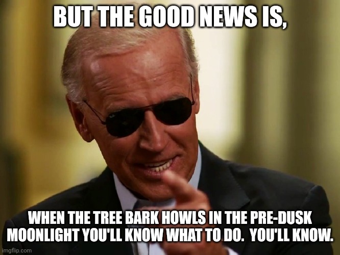Cool Joe Biden | BUT THE GOOD NEWS IS, WHEN THE TREE BARK HOWLS IN THE PRE-DUSK MOONLIGHT YOU'LL KNOW WHAT TO DO.  YOU'LL KNOW. | image tagged in cool joe biden | made w/ Imgflip meme maker