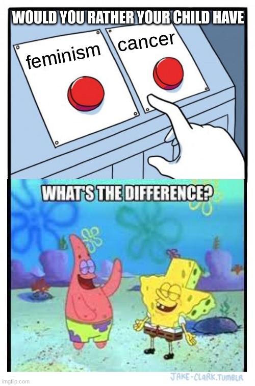 Two Buttons | WOULD YOU RATHER YOUR CHILD HAVE; cancer; feminism | image tagged in memes,two buttons | made w/ Imgflip meme maker