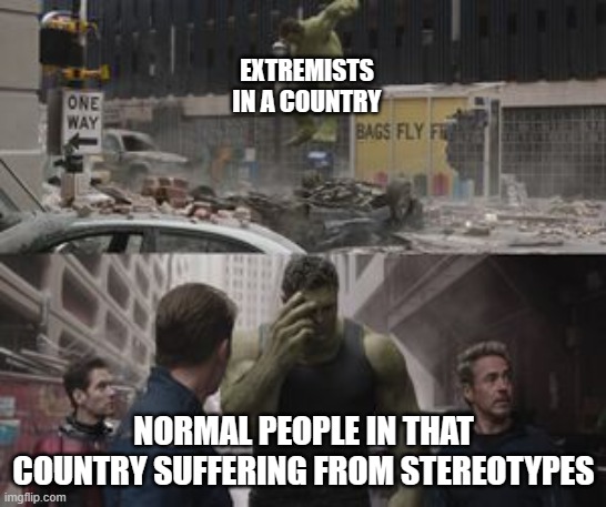 Regretful Hulk | EXTREMISTS IN A COUNTRY; NORMAL PEOPLE IN THAT COUNTRY SUFFERING FROM STEREOTYPES | image tagged in regretful hulk,stereotypes,extremists,countries,avengers,memes | made w/ Imgflip meme maker