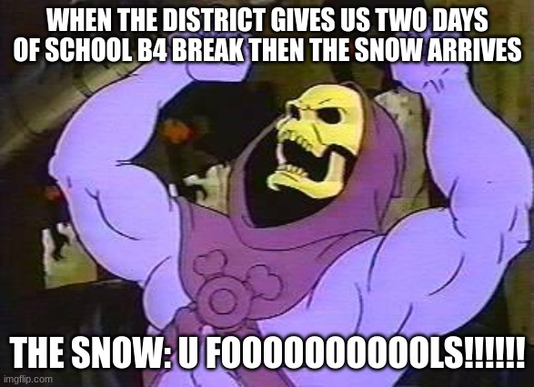 there was a try at least | WHEN THE DISTRICT GIVES US TWO DAYS OF SCHOOL B4 BREAK THEN THE SNOW ARRIVES; THE SNOW: U FOOOOOOOOOOLS!!!!!! | image tagged in you fool skeletor | made w/ Imgflip meme maker