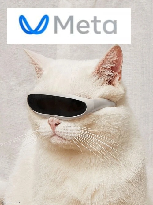Cats Love Metaverse | image tagged in future cat | made w/ Imgflip meme maker